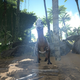 Illustration for article titled Why Everything Keeps Staring At Me In ARK: Survival Evolved